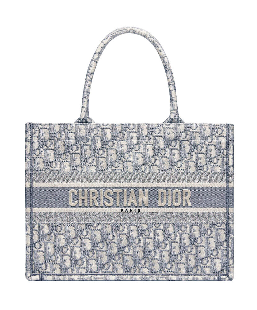 Christian Dior Book Tote Velvet Mizza Embroidery Canvas Grey